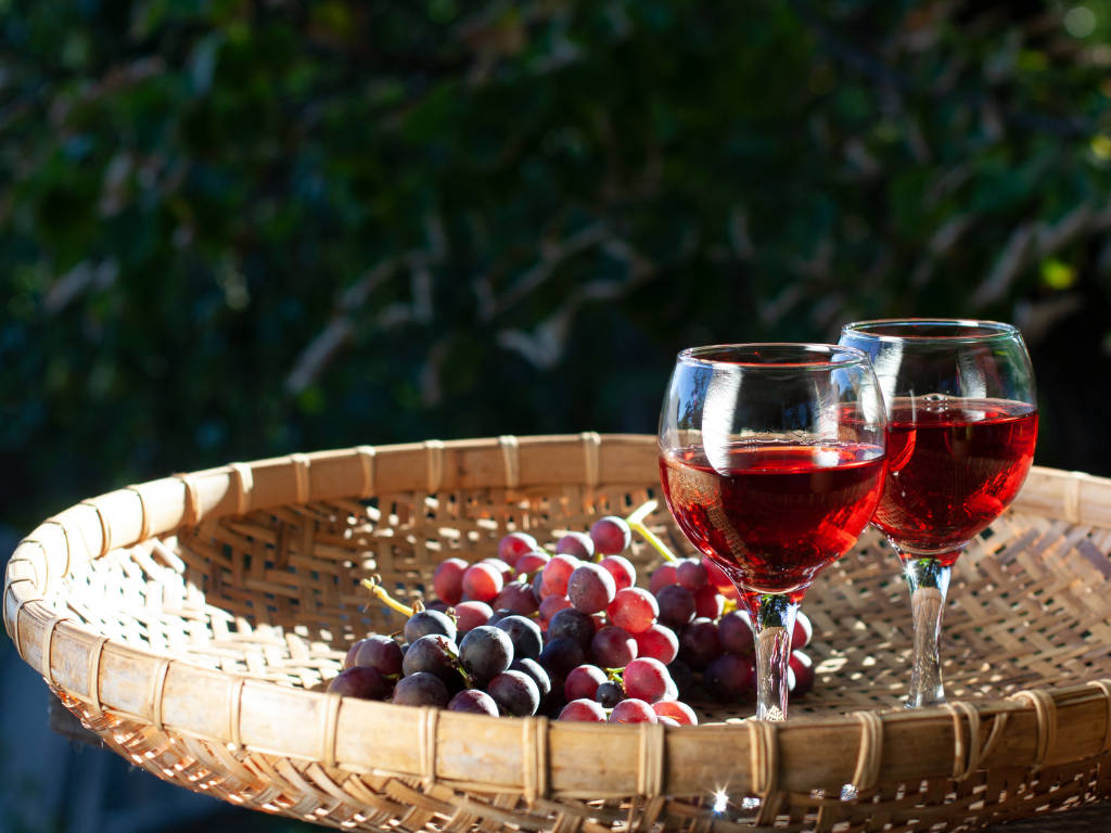 Tunisia: un viaggio tra vino, sapori e tradizione