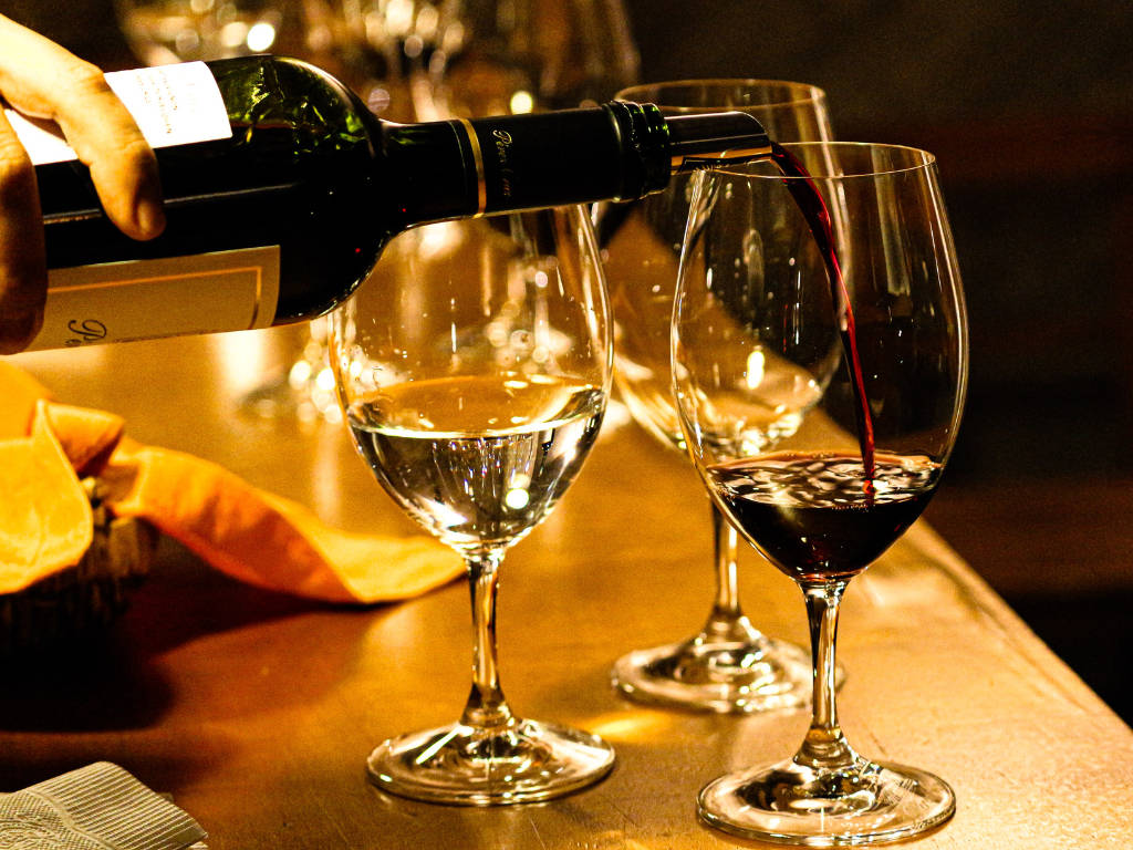 Vini Argentini: Cabernet Sauvignon, Bonarda e Torrontés