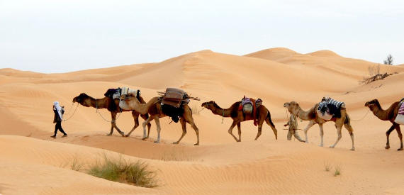 Tunisia Tour 